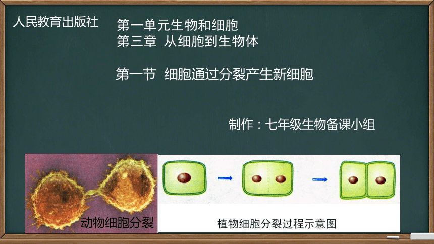 初中生物