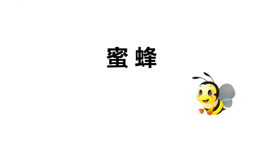 小学语文