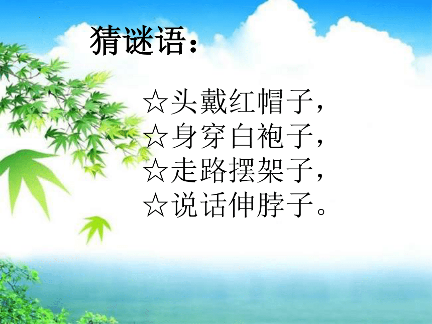 小学音乐