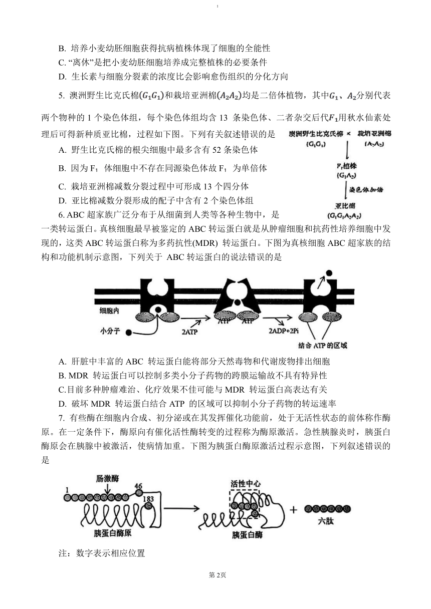 高中生物