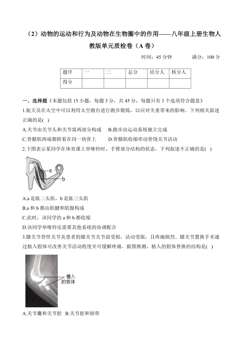 初中生物