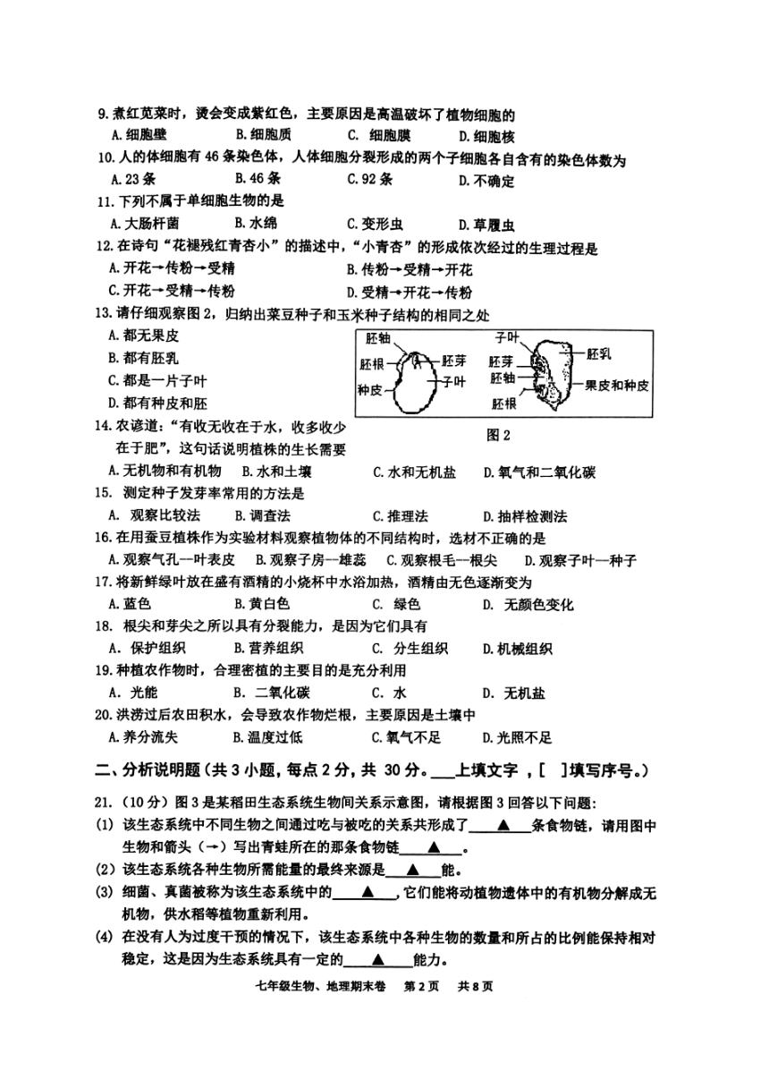 初中文理综