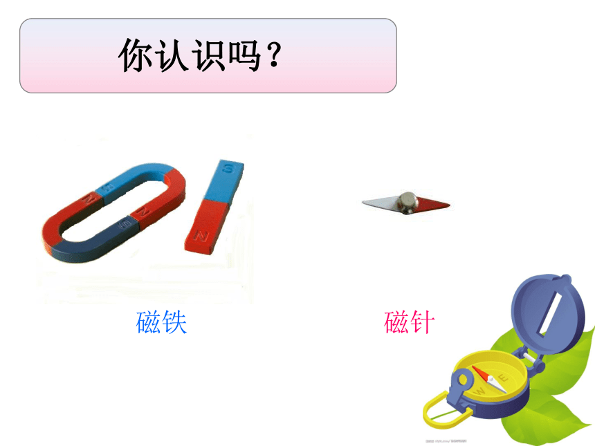 小学劳动