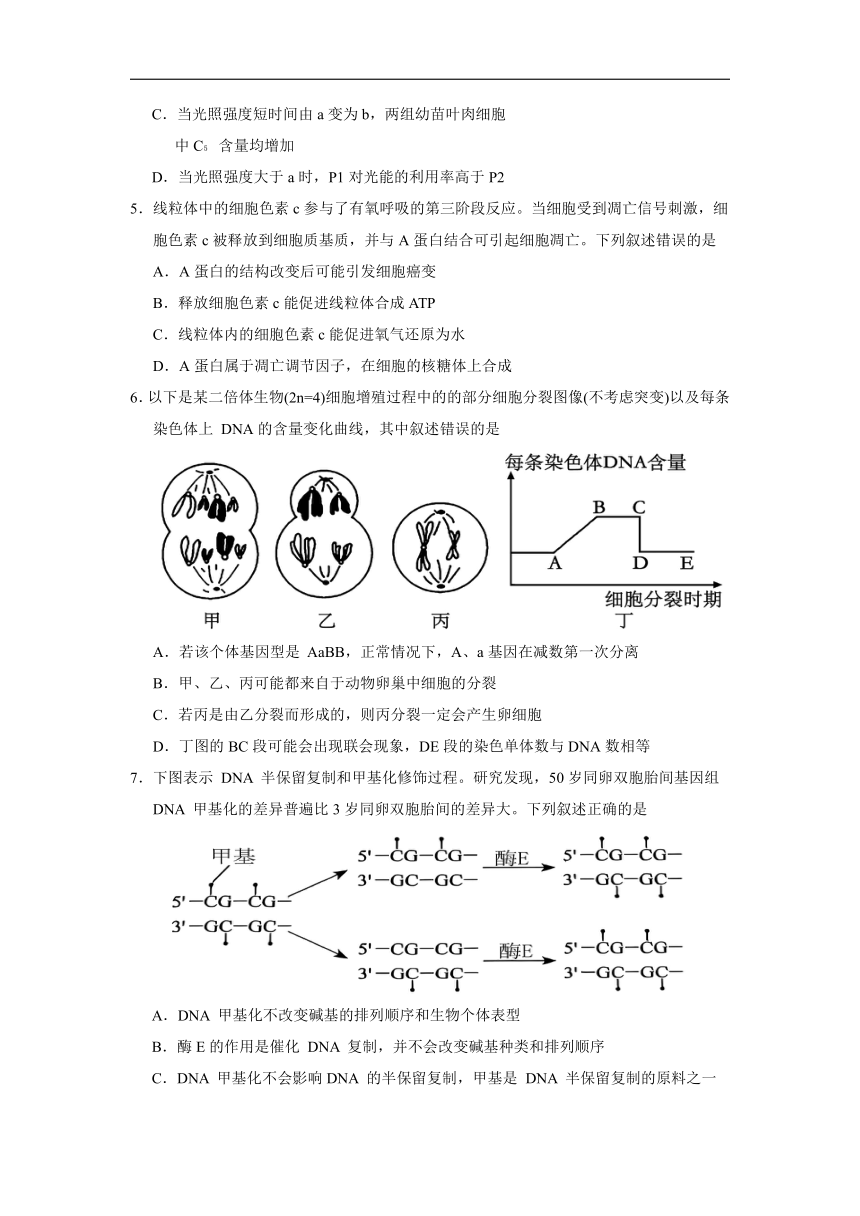 高中生物