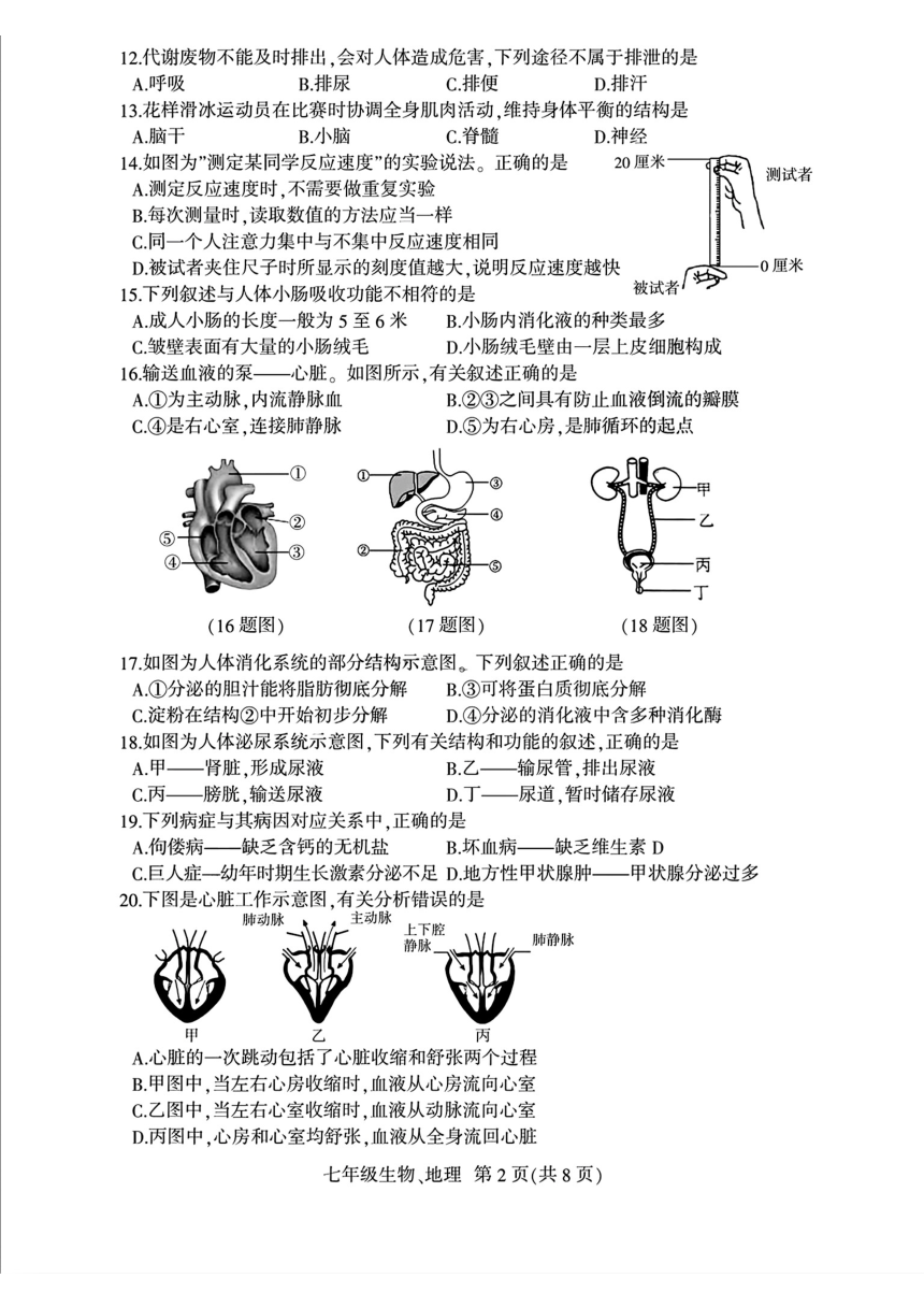 初中文理综