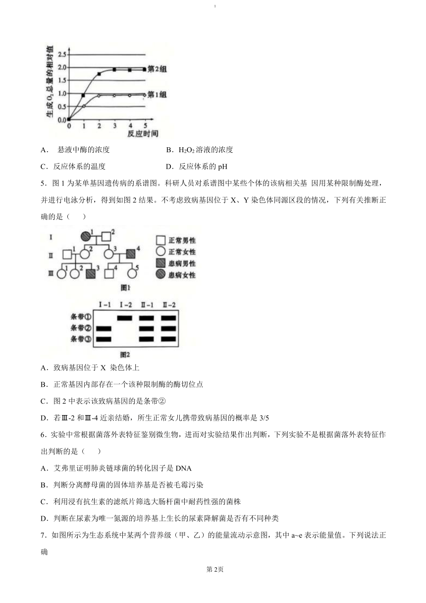 高中生物