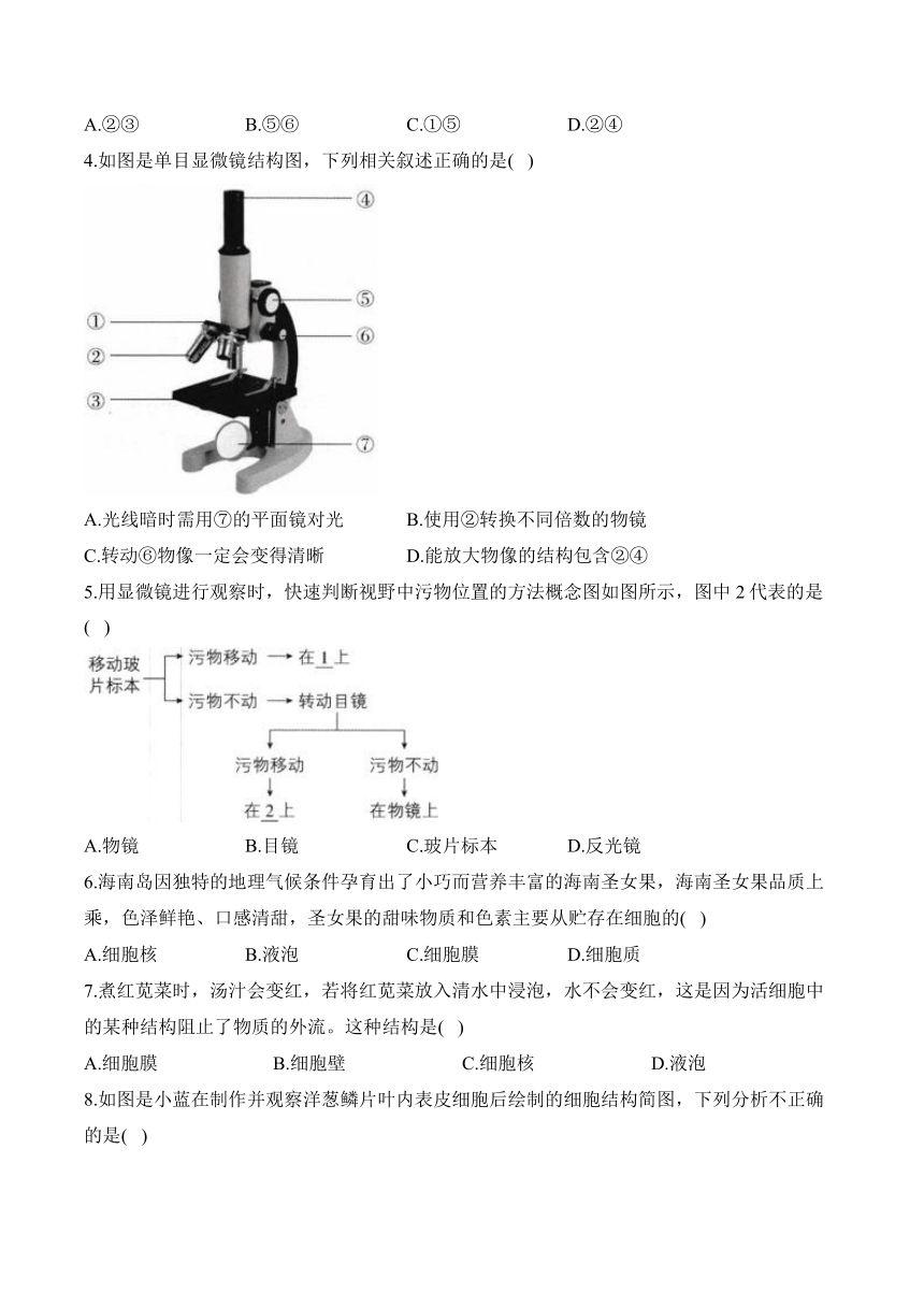 初中生物