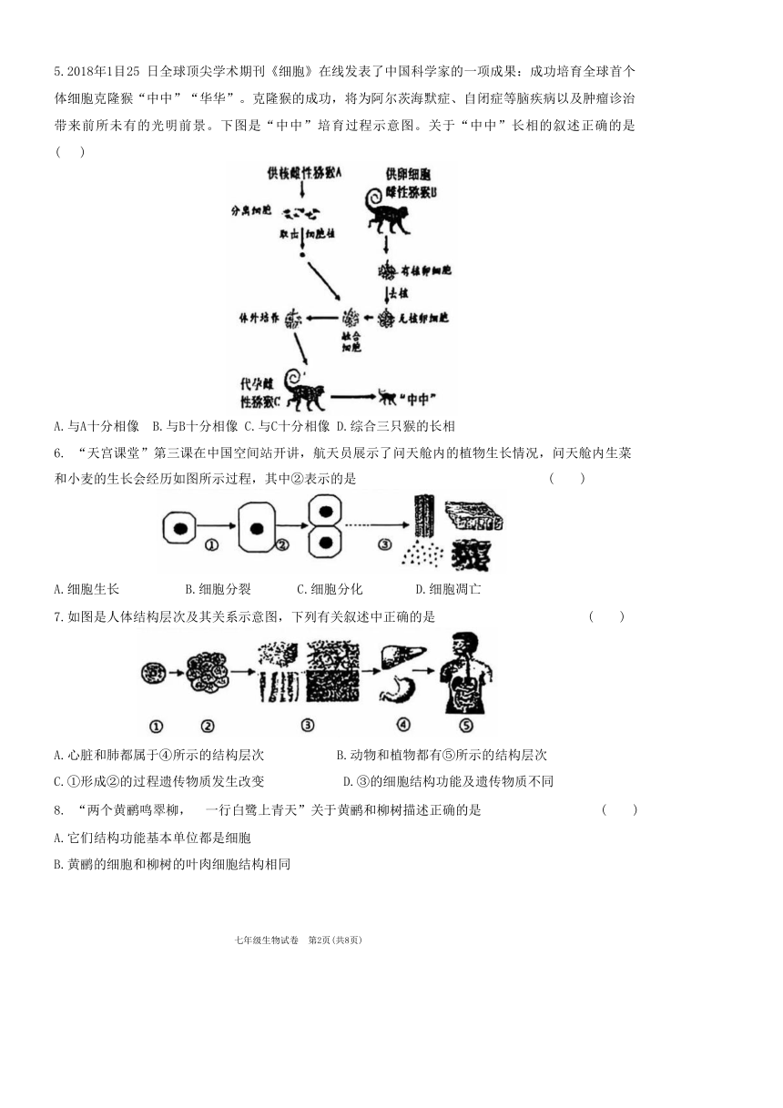 初中生物