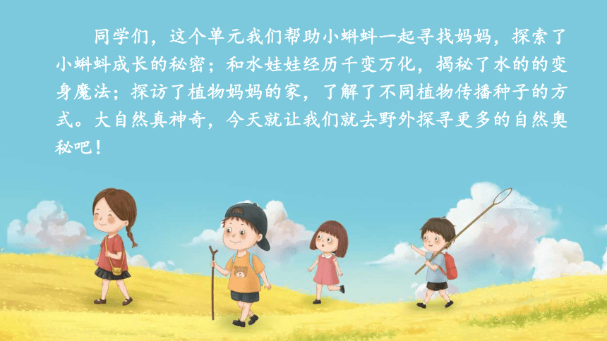 小学语文