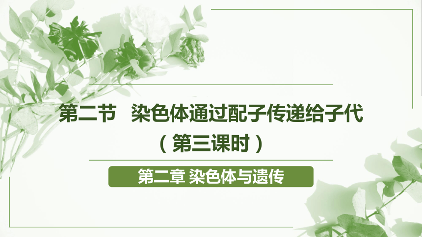 高中生物