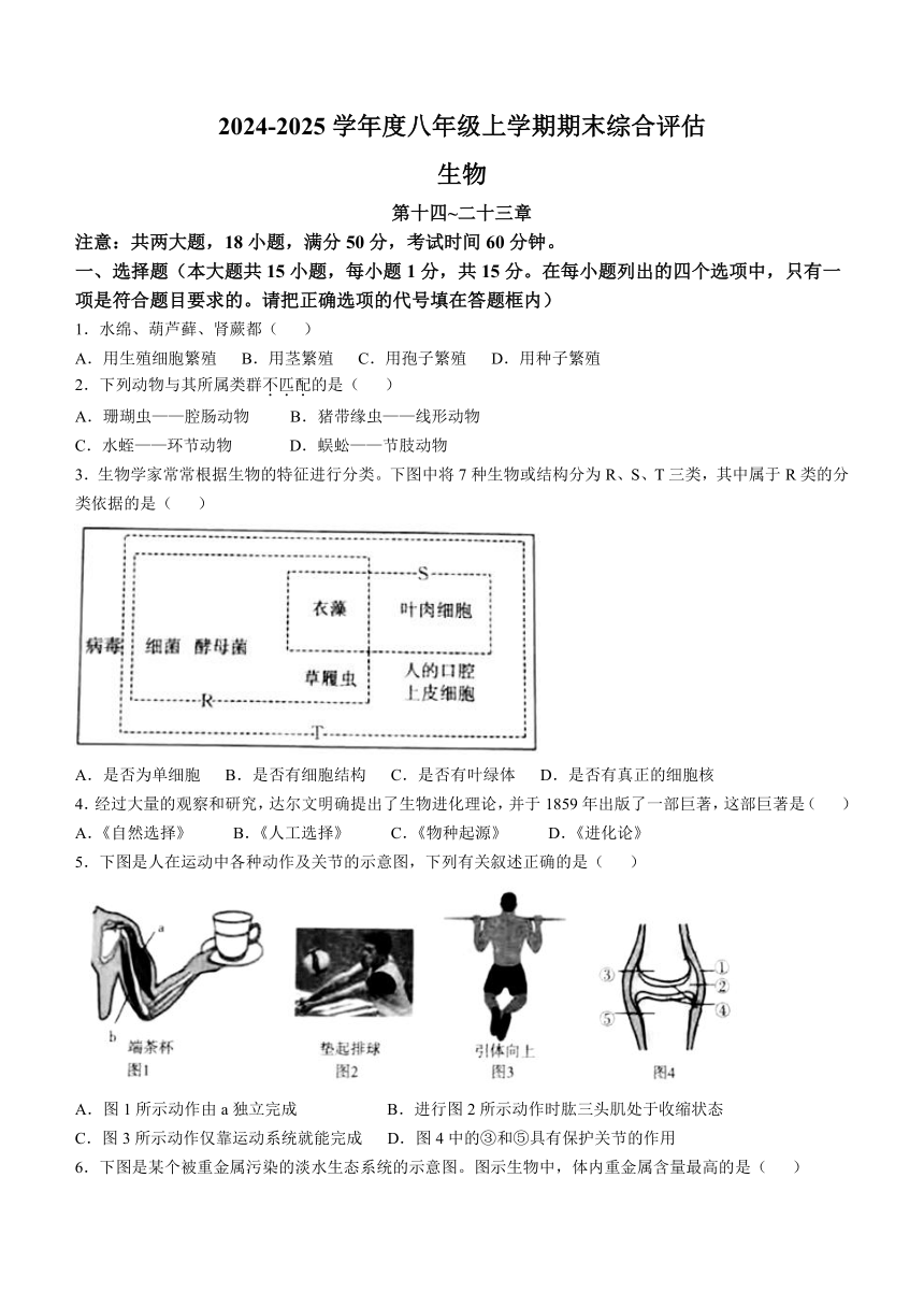 初中生物