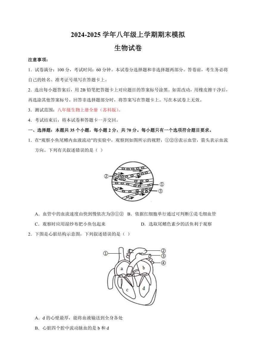 初中生物