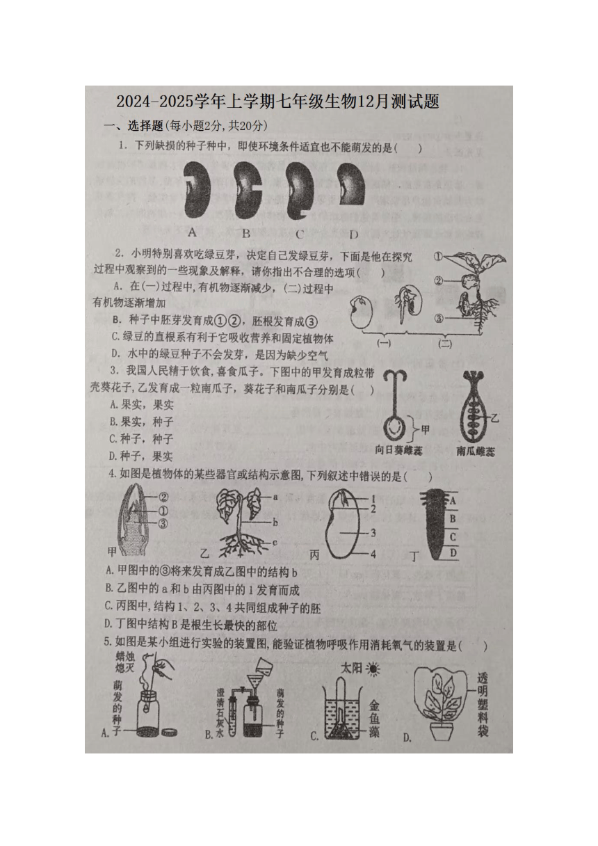 初中生物