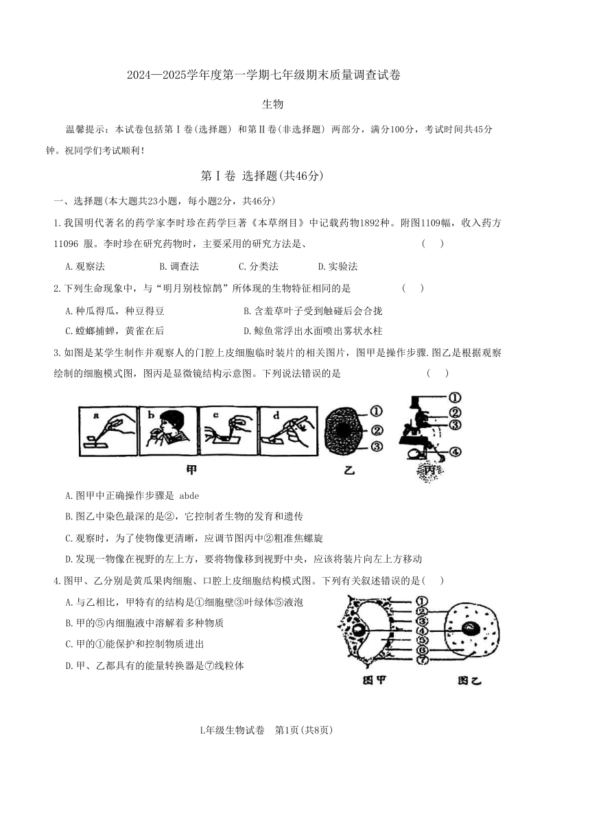 初中生物