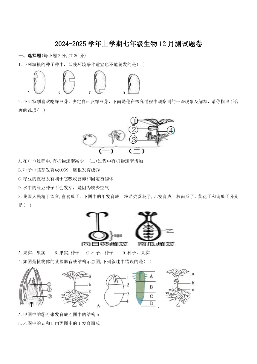 初中生物